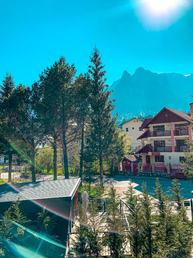 Moon Montana Buşteni エクステリア 写真