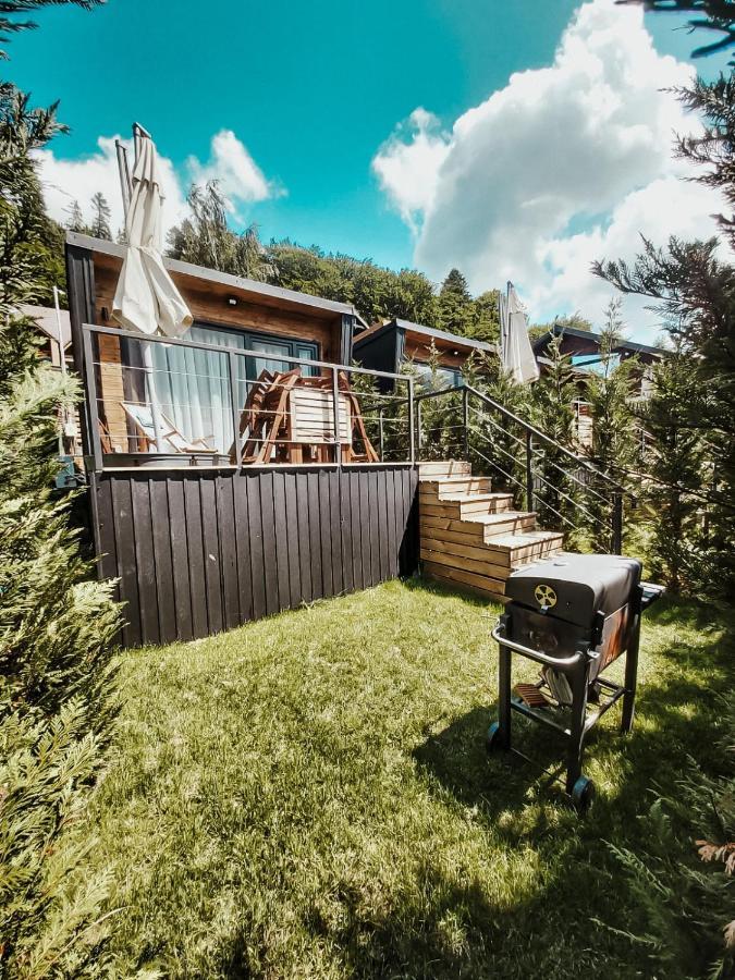 Moon Montana Buşteni 部屋 写真